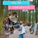 서건도 블루씨 | 제주 서귀포 여행 코스 총정리 카페 맛집까지 꽉 채운 하루