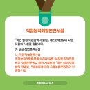 지정개발 이미지