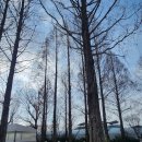 비토애 | 나주 비토애 럭셔리 글램핑 다녀온 후기 🌿