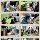 [소방안전교육] 심폐소생술 &amp; 화재대피훈련 이미지