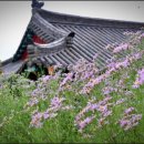 문경축산농협약돌축산물센터