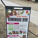 하늘빛다육