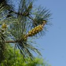 수원팔색길 여우길 이미지