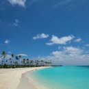 아크릴화 입문 이미지