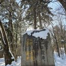 평창 상원사 영산전 석가삼존·십육나한상 및 권속 이미지