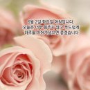 화요일 Daum카페