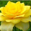 축복의집 이미지