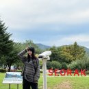 금호리조트 설악 휴그린스위트, 속초여행 숙초 찾는다면! (+바베큐장 가든그릴 이용 후기)