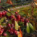 뜬봉샘농장 이미지