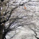 서대신우체국 이미지