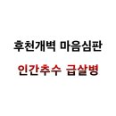 후천개벽 마음심판, 인간추수 급살병 이미지