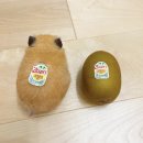 종강 블로그