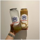 스텔라베어인천