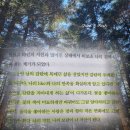 어느봄날 - 수성구 화랑로2길 105 | 적정한 삶 책 | 김경일 책 후기 | 어느 봄날 스무살 적 아내의 향기를 만나다 추천 리뷰 핵심 요약