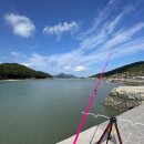 스테이지니 이미지