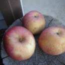 산내농장 이미지