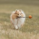 명월로에서 | 아이 한 명 키우는 데 3억? — 월로 환산하면 생각보다 다릅니다