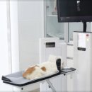 동행동물의료센터 이미지