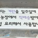정아분식2 네이버블로그