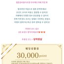 머메이드 | [에델린꾸뛰르] 촬영드레스 선택 후기-머메이드타입