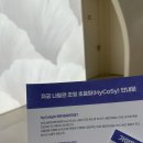 서울의원 | 서울 비커밍 여성의원 | 나팔관 조영술 (조영 초음파) 후기 기록!