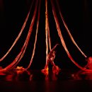 제31회 충북무용제 이미지