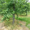 뉴한길공인중개사사무소 이미지