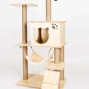 행복켄넬 이미지