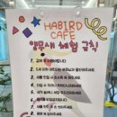 하버드앵무새카페