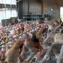 김광석농장 연합뉴스
