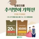 함평천지 승현이네 새싹삼 | 함평천지몰이 추석맞이 기획전을 시작합니다
