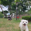 가람동물병원 이미지