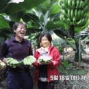 김종태농장 이미지