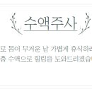 판교가온산부인과의원 이미지