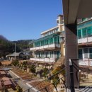 순천만하루애 이미지