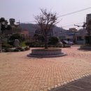 광장건어물 이미지