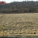 미천면-2 이미지