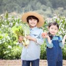 꽃보다농산물