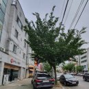 정도ENG 이미지