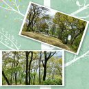 양평가축병원 이미지