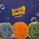 대디마인드 | 팔월십칠일. 스크럽대디 팝업 다녀오다