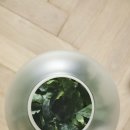 그린디자인 이미지
