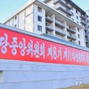 부흥고무 이미지