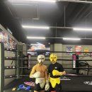 STS BOXING 네이버블로그