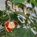 도봉-쌍문-도봉-1126 이미지