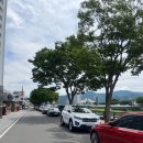 무주산골영화제 첫 방문 후기｜티켓팅·주차·준비물·등나무운동장 자리 꿀팁