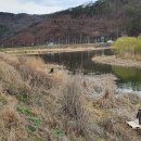 진덕농장 이미지