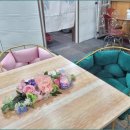 자연알로(성남) 이미지