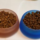 퍼피아울렛코리아 이미지