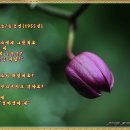염소이야기 이미지